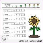 Materialpaket: Året runt i naturen - bild 4