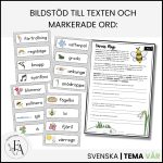 Vårens magi – Läsförståelse tema vår + bildstöd & ordbilder - bild 3