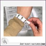 Materialpaket: Året runt i naturen - bild 3