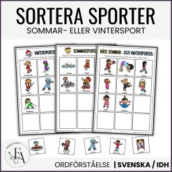Sommar- eller vintersport? Sorteringsträning & memory