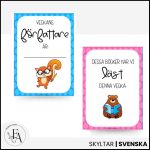 Stort Läspaket - bild 11