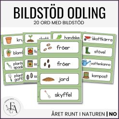 Bildstöd | Odling, plantering & trädgård
