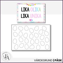 Lika/Olika - Ett värdegrundsprojekt