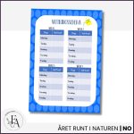 Titta, det gror! – dokumentera odling steg för steg - bild 3