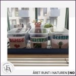 Titta, det gror! – dokumentera odling steg för steg - bild 6