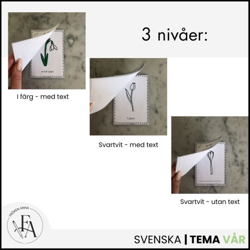 Min lilla vårblomsbok – Lär dig vårblommornas namn