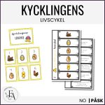 Kycklingens livscykel – bildstöd & flippböcker - bild 1