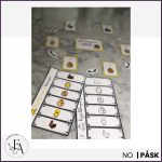 Kycklingens livscykel – bildstöd & flippböcker - bild 6