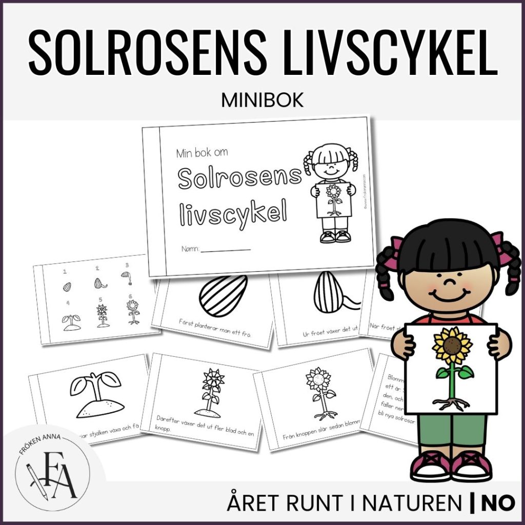 Min bok om solrosens livscykel
