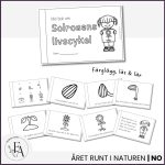 Min bok om solrosens livscykel - bild 2