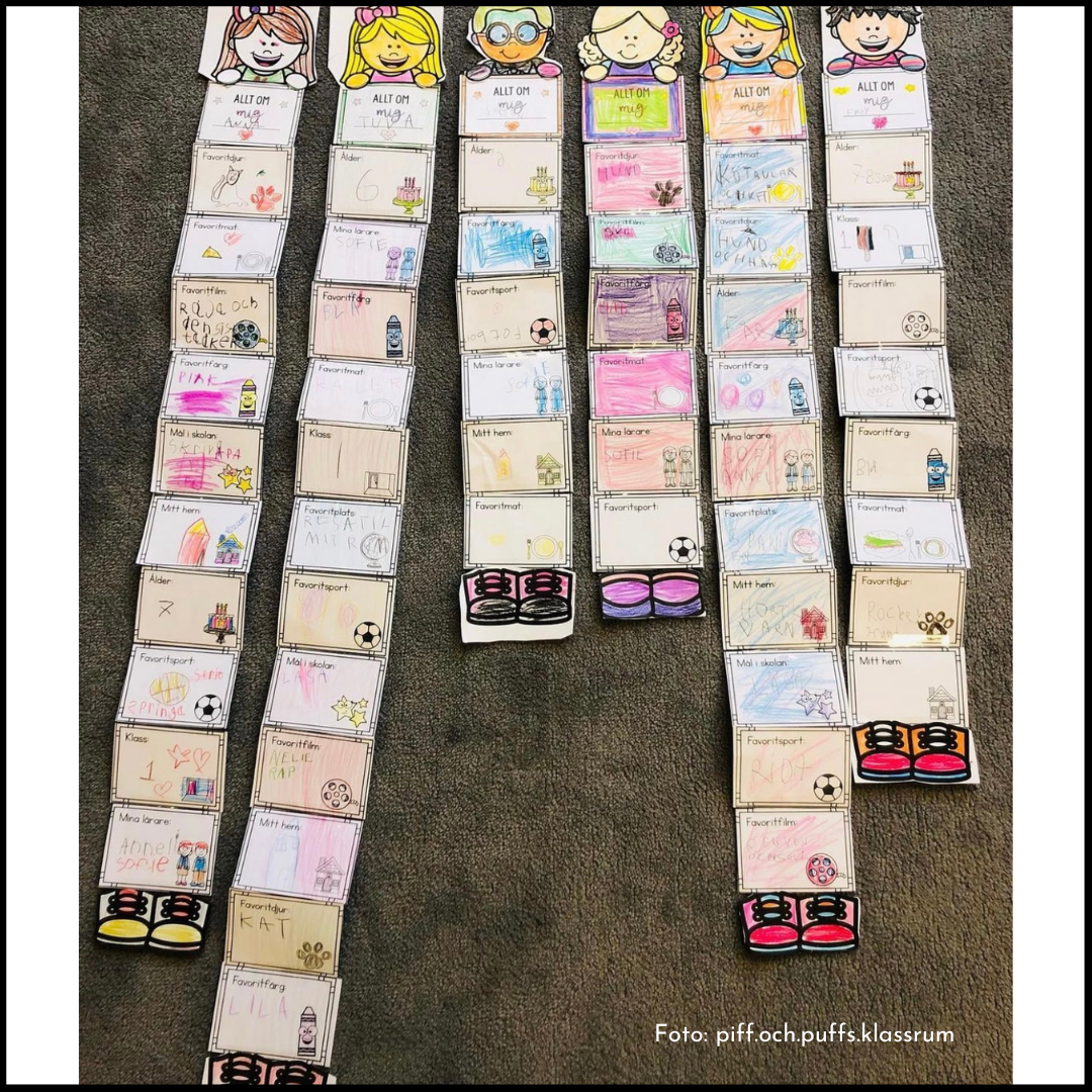 Allt om mig - vikbok