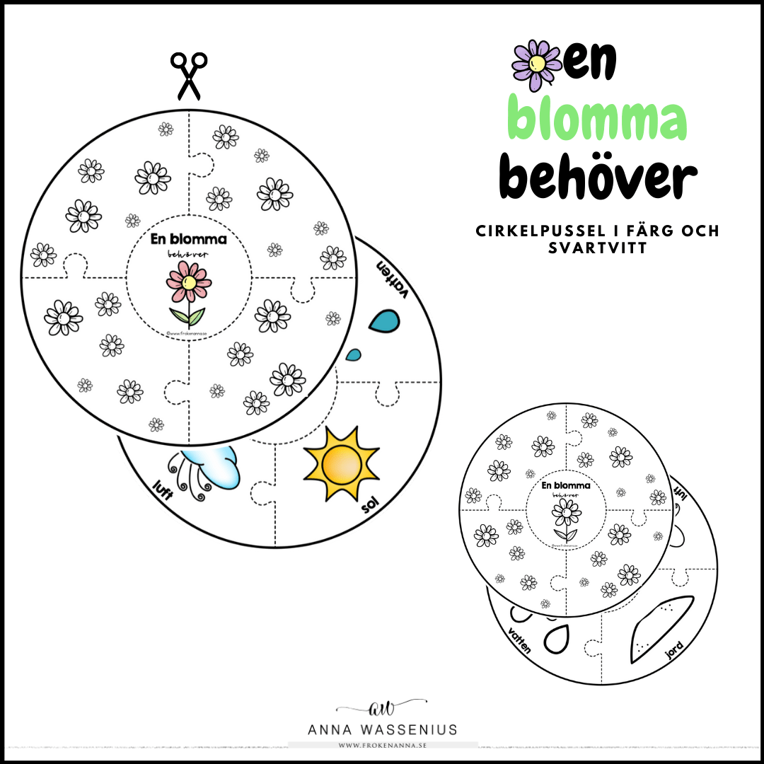 En blomma behöver ...