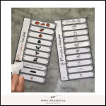 Pumpans livscykel - bild 2