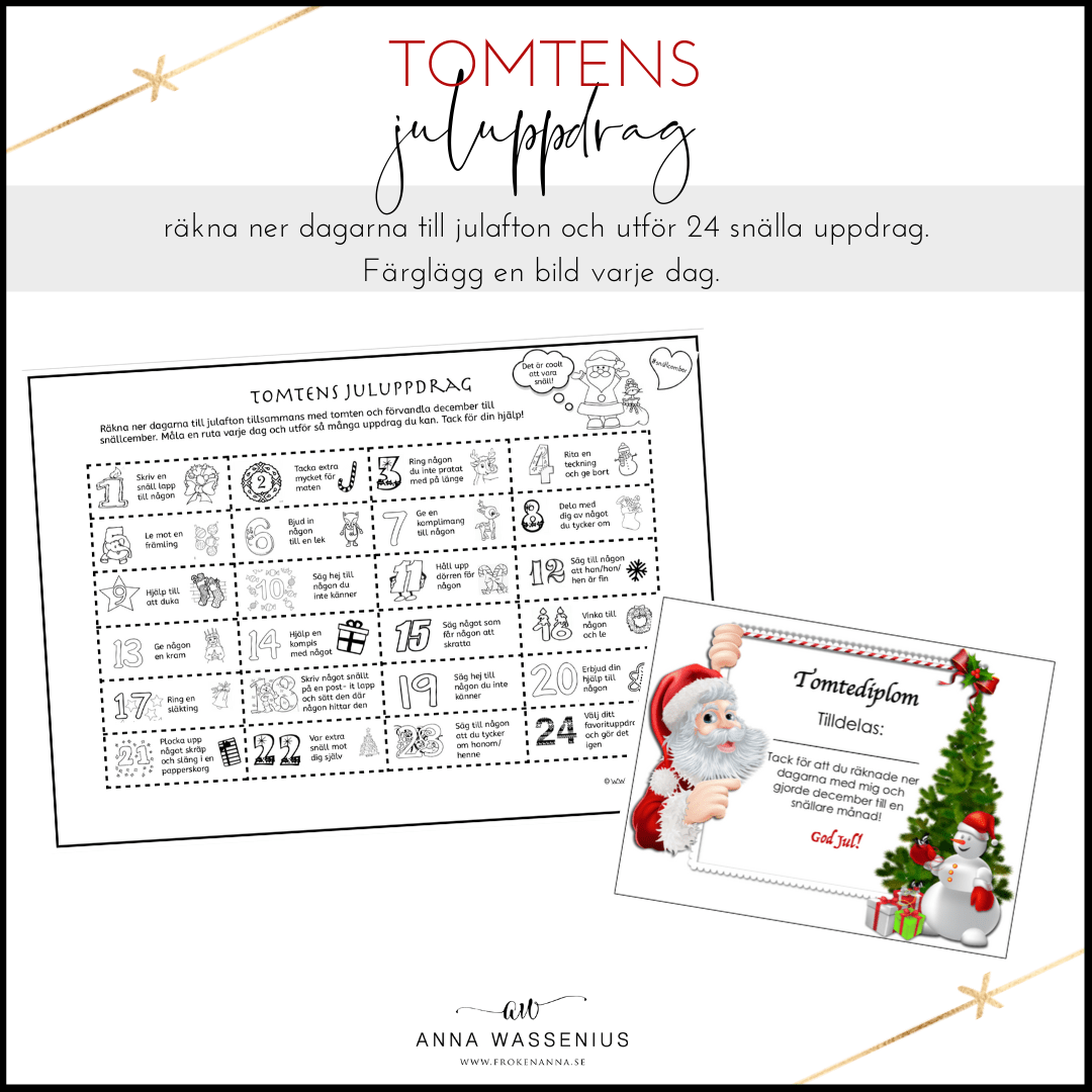 Tomtens juluppdrag