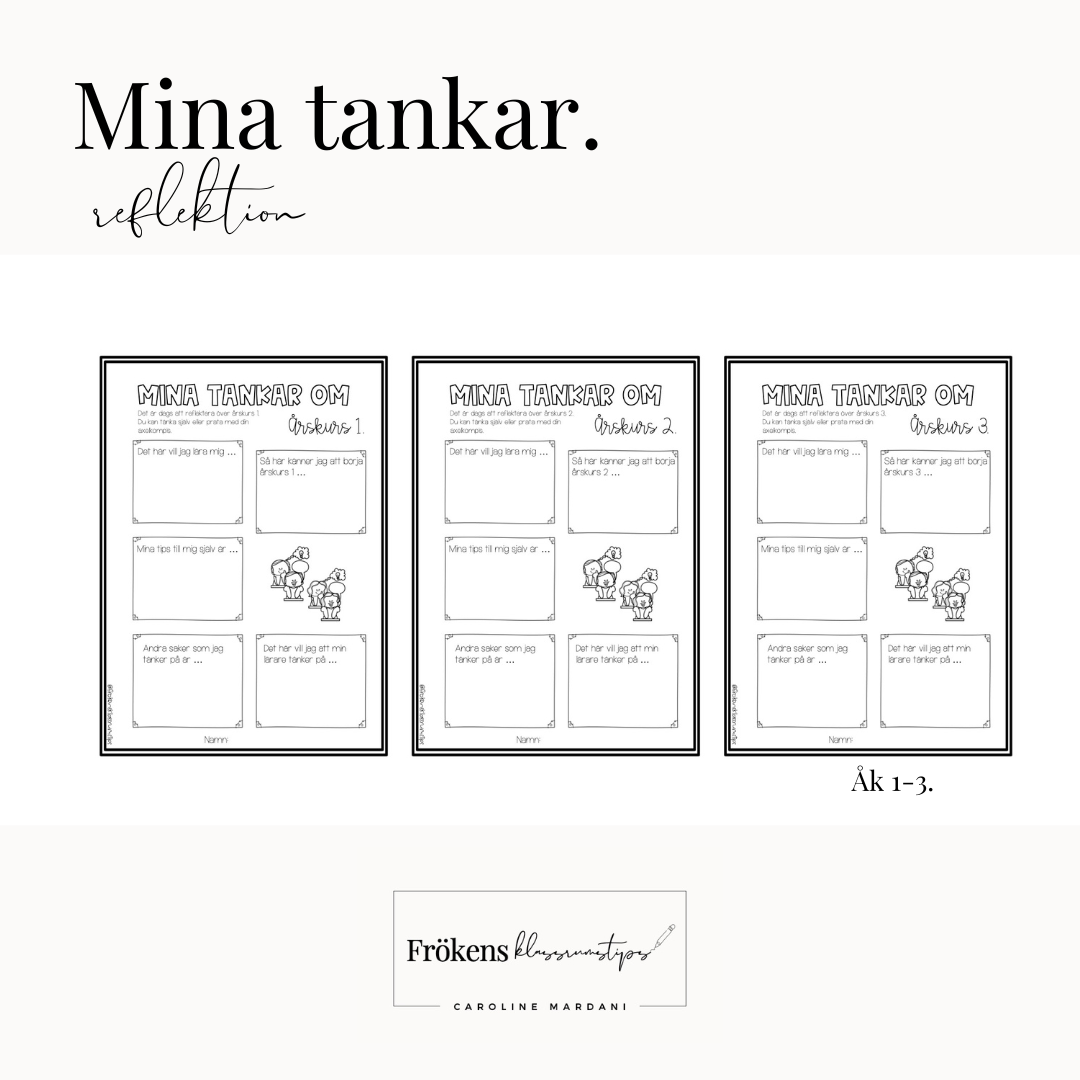 Mina tankar - En reflektion inför kommande läsår.