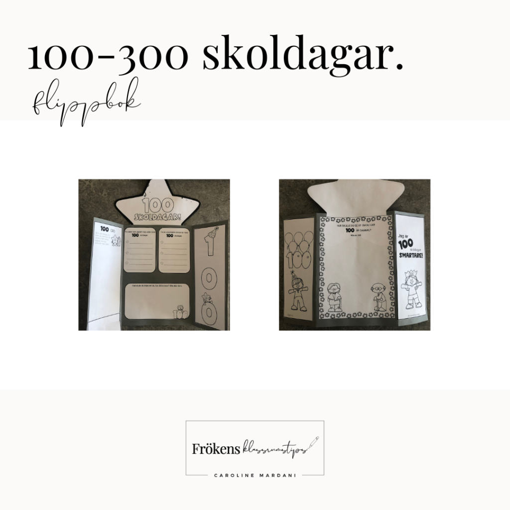 100-300 skoldagar (flippböcker)