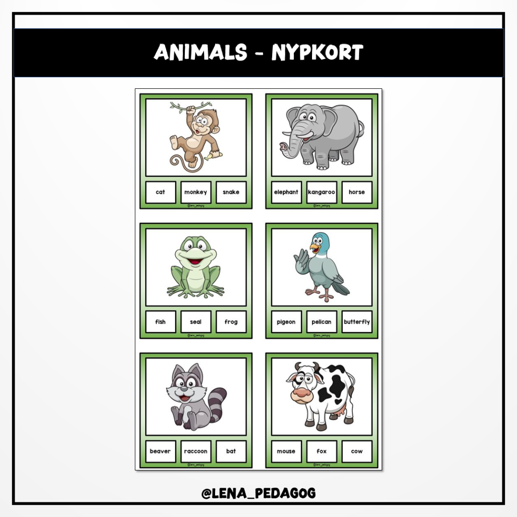 Animals – nypkort