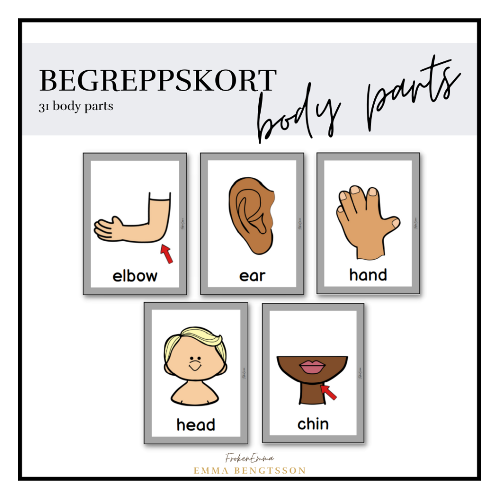 Body parts begreppskort