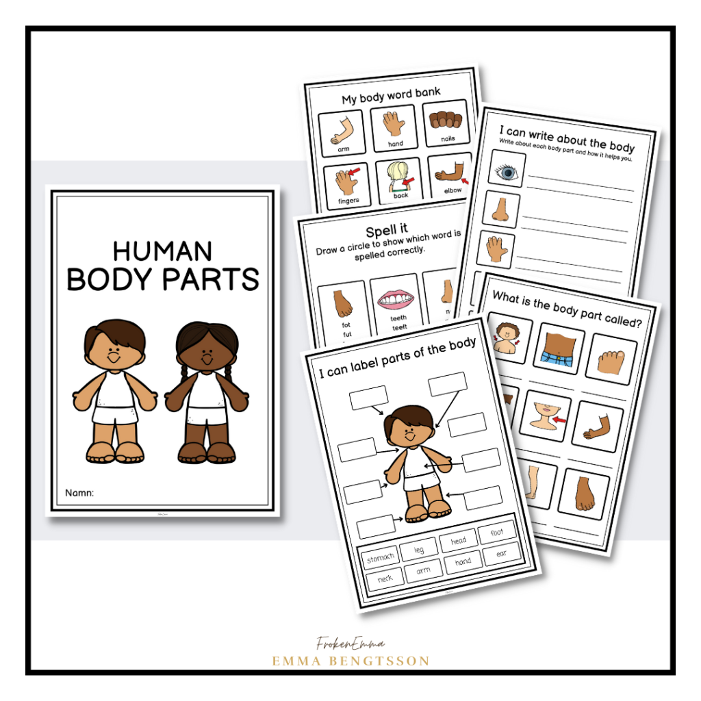 Human body parts häfte