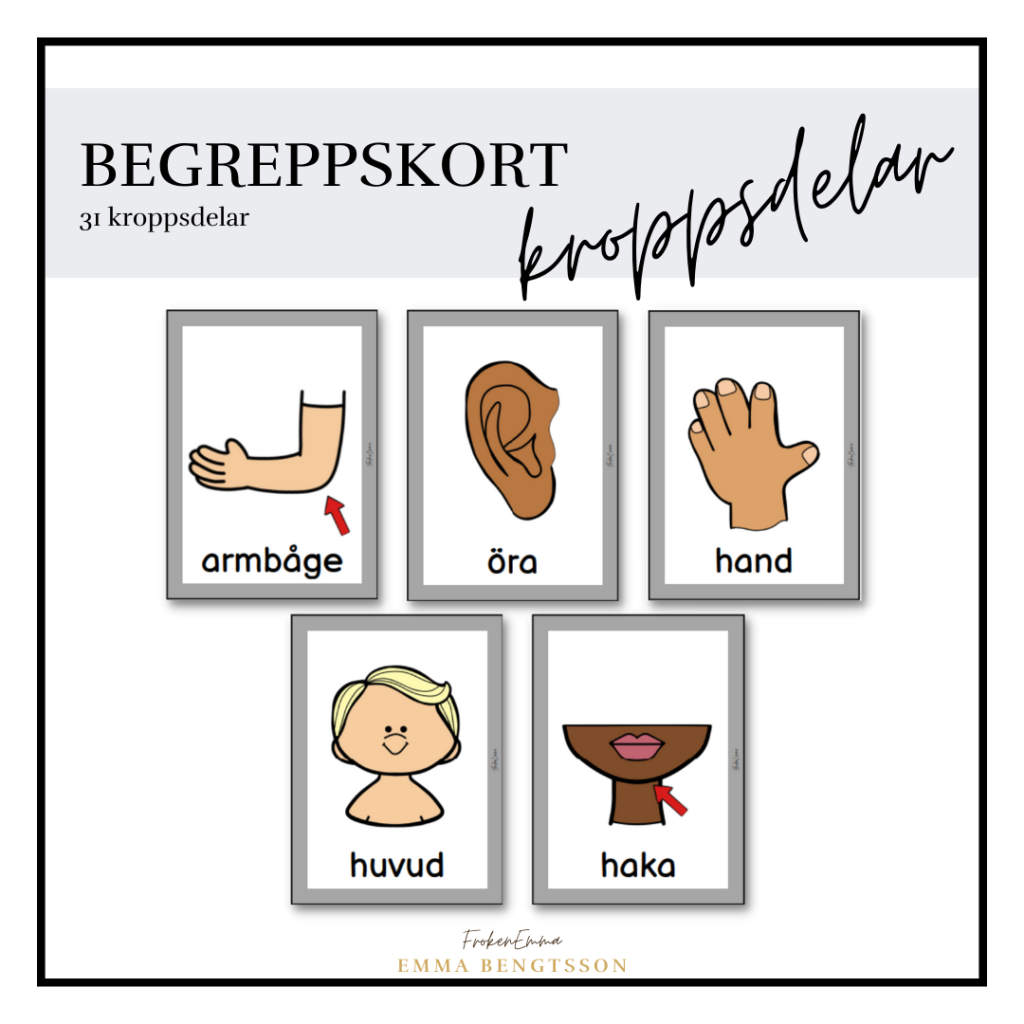 Kroppsdelar begreppskort
