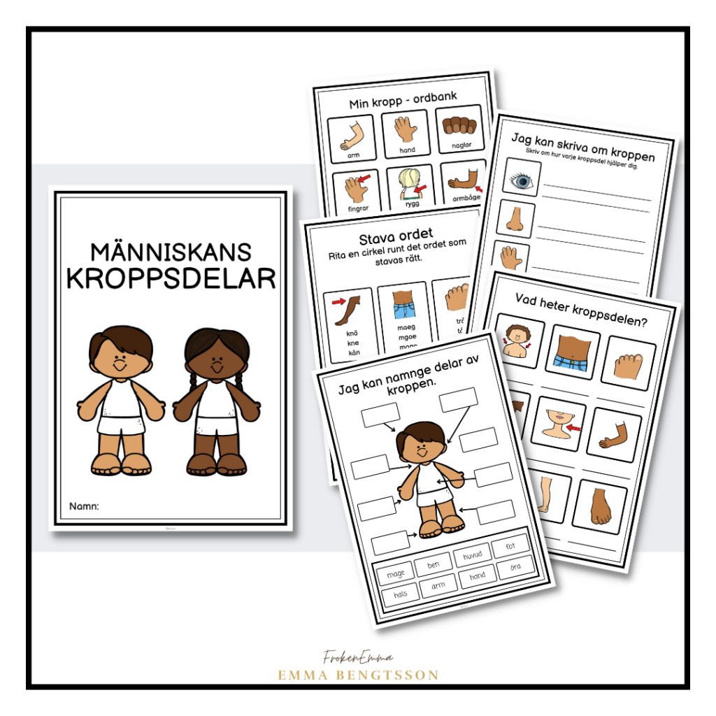 Människans kroppsdelar häfte