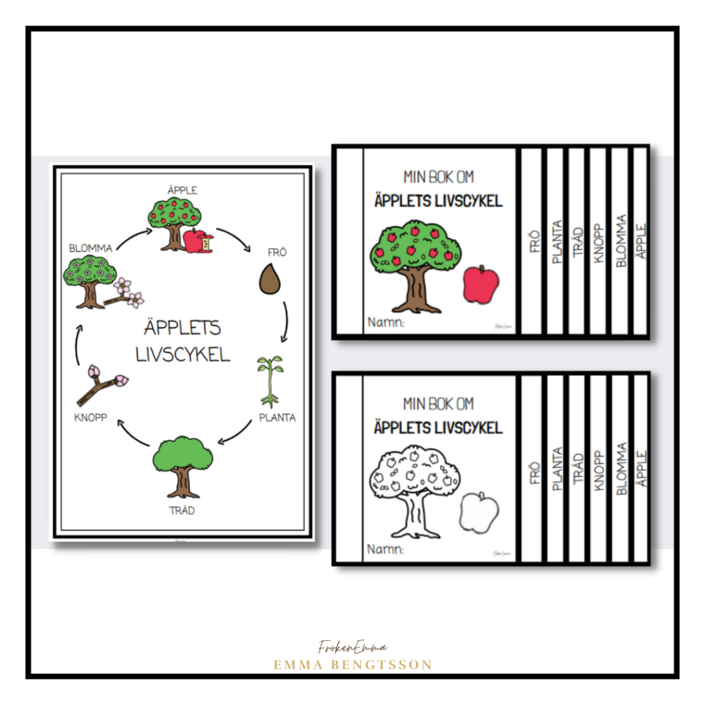 Min bok om äpplets livscykel 1