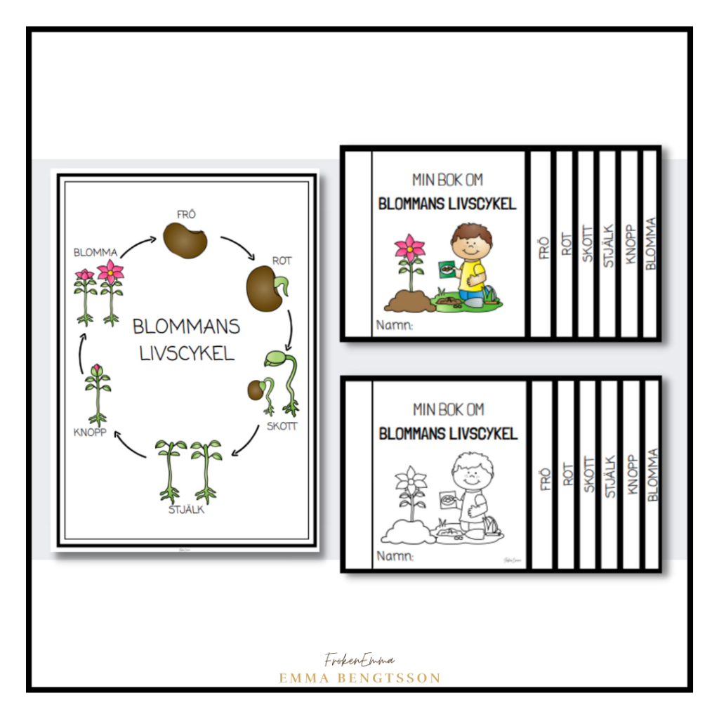 Min bok om blommans livscykel