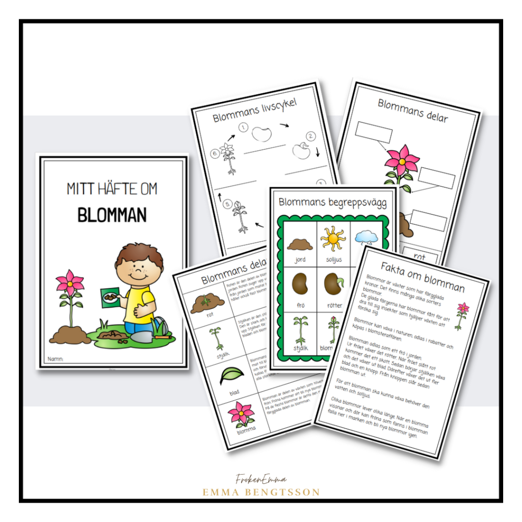 Mitt häfte om blomman