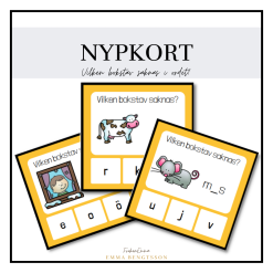 Nypkort - vilken bokstav saknas?