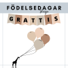 Födelsedagar