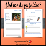 VAD SER DU PÅ BILDEN? - bild 2