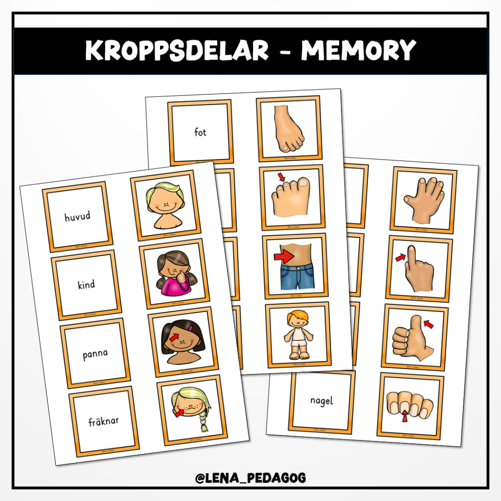 Kroppsdelar – memory