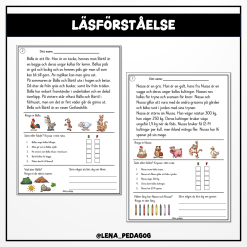 Läsförståelse