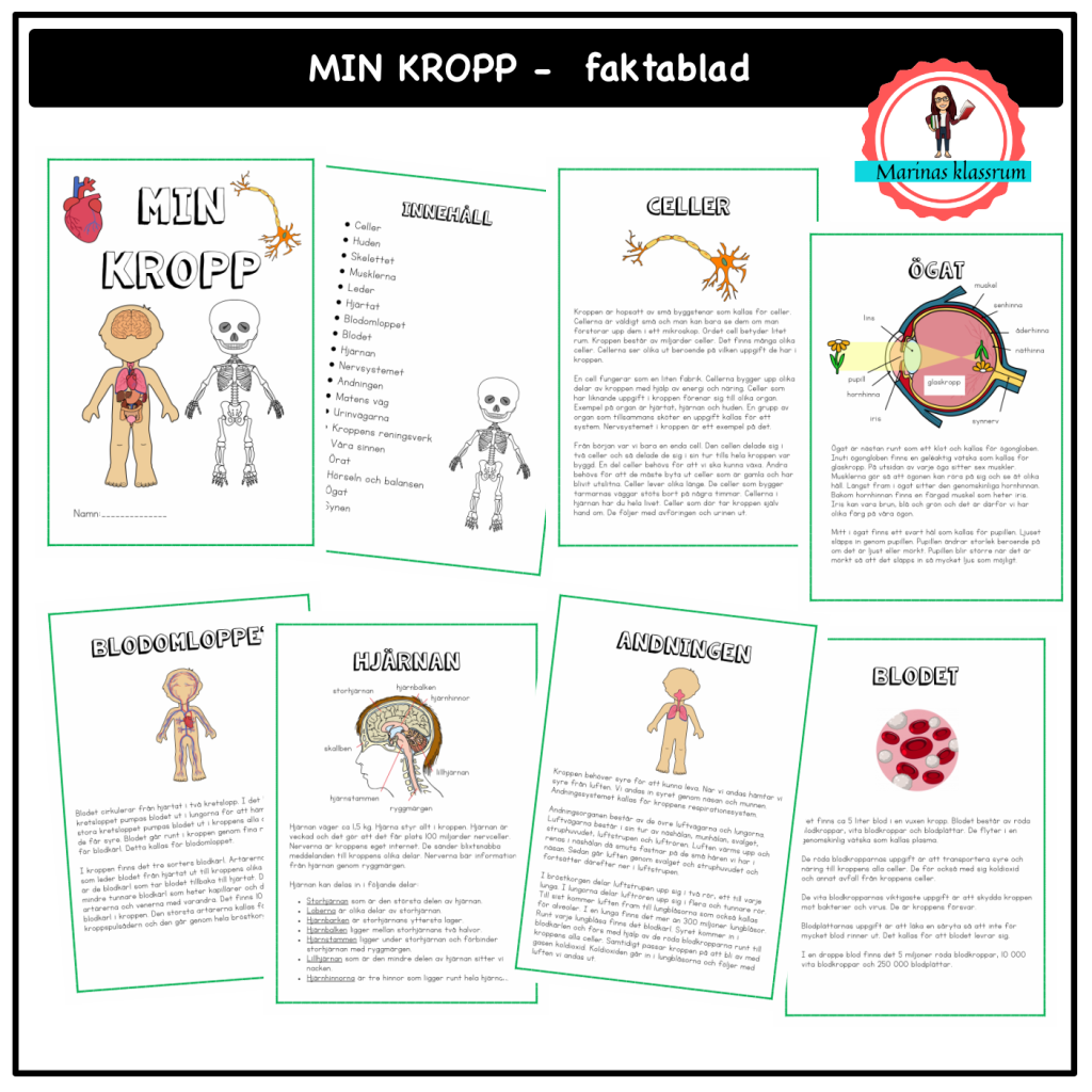 Kroppen faktablad