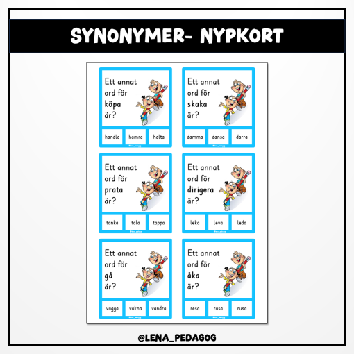 Synonymer - nypkort