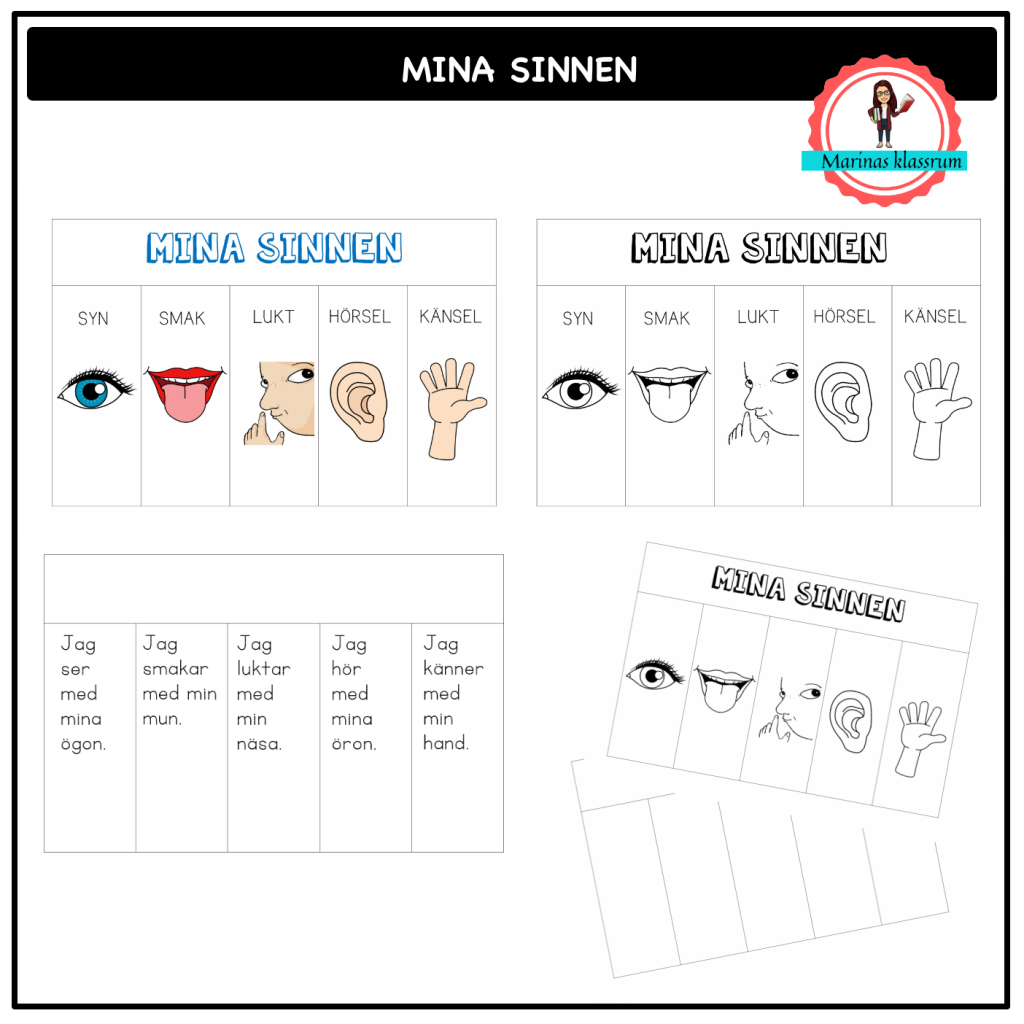 Mina sinnen – en flippbok