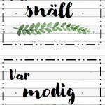 Klassrumspaket (country) - bild 6