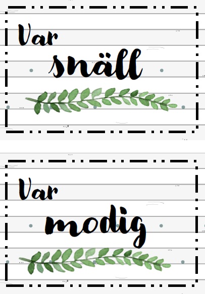 Klassrumspaket (country)