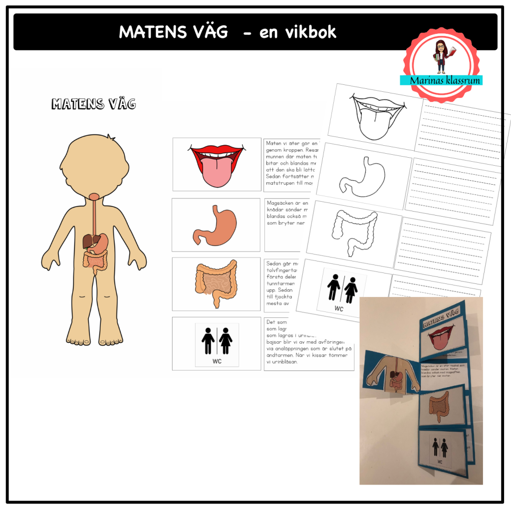 Matens väg – en flikbok