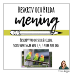 Beskriv och bilda mening - bild 1