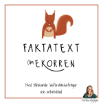 Faktatext om ekorren med läsförståelsefrågor - bild 1