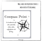 Compass Point – Visible thinking rutin - bild 5