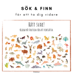 Räkna med ekorren – Vilket är talets värde? - bild 4