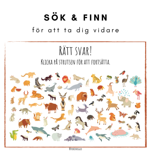 Räkna med ekorren - Vilket är talets värde?