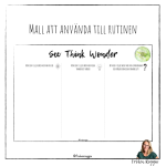 See Think Wonder – Visible Thinking rutin - bild 3