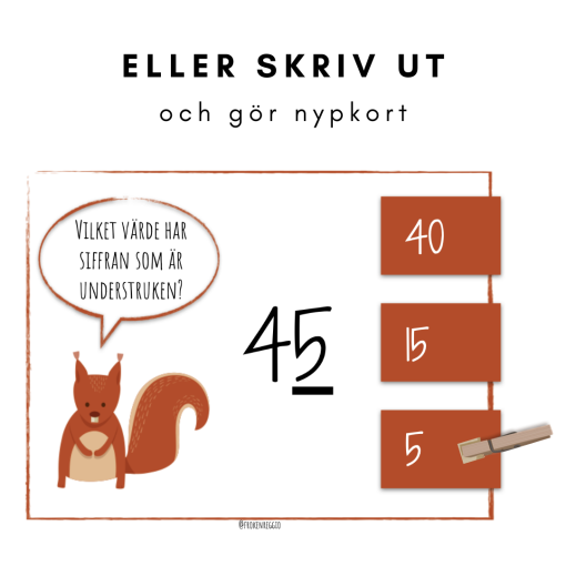 Räkna med ekorren - Vilket är talets värde?