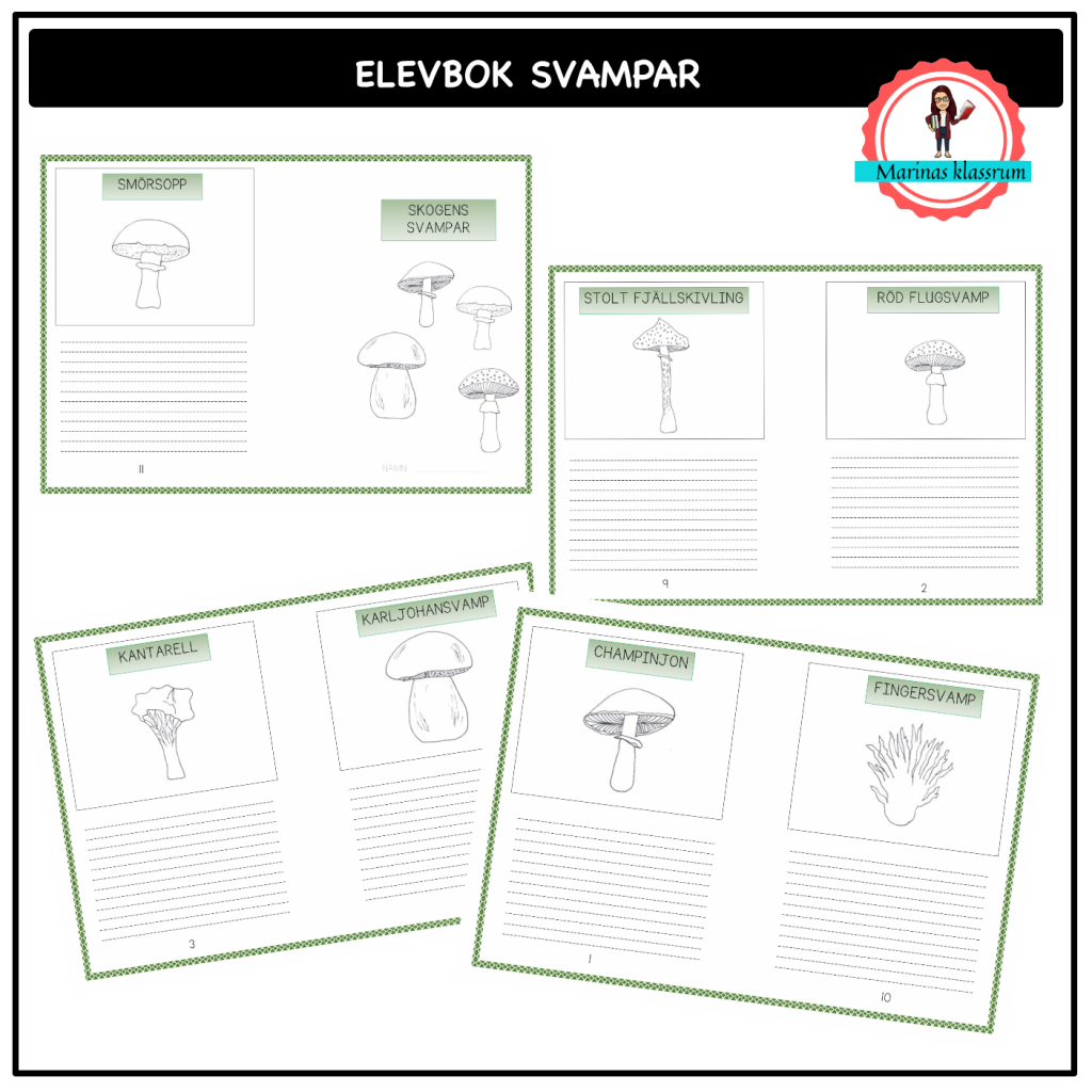 Skriv om skogens svampar