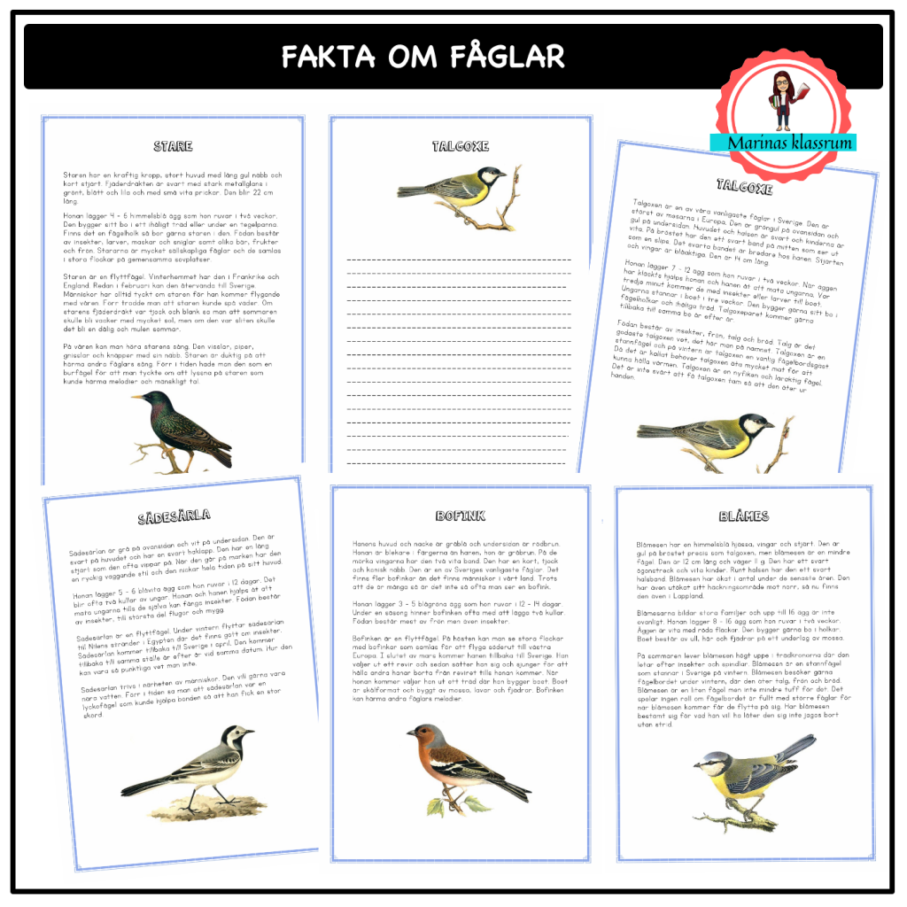 Faktatexter om fåglar