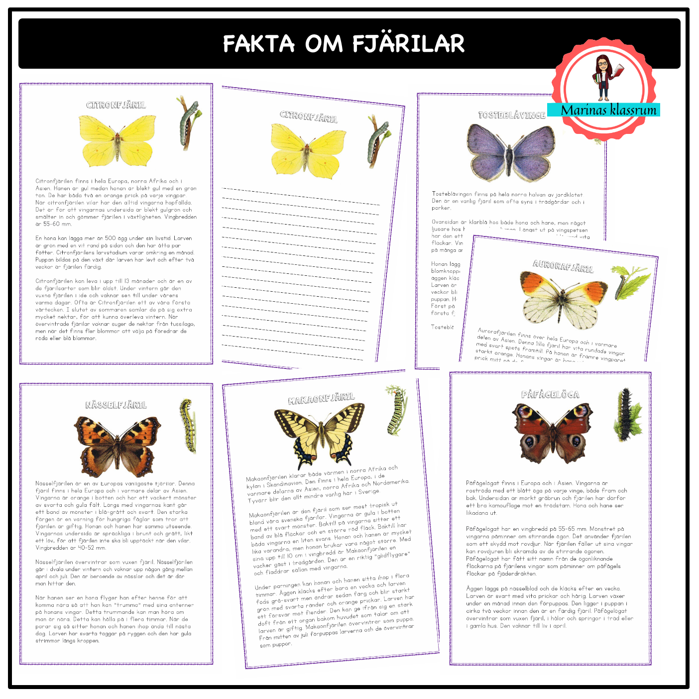 Faktatexter om fjärilar