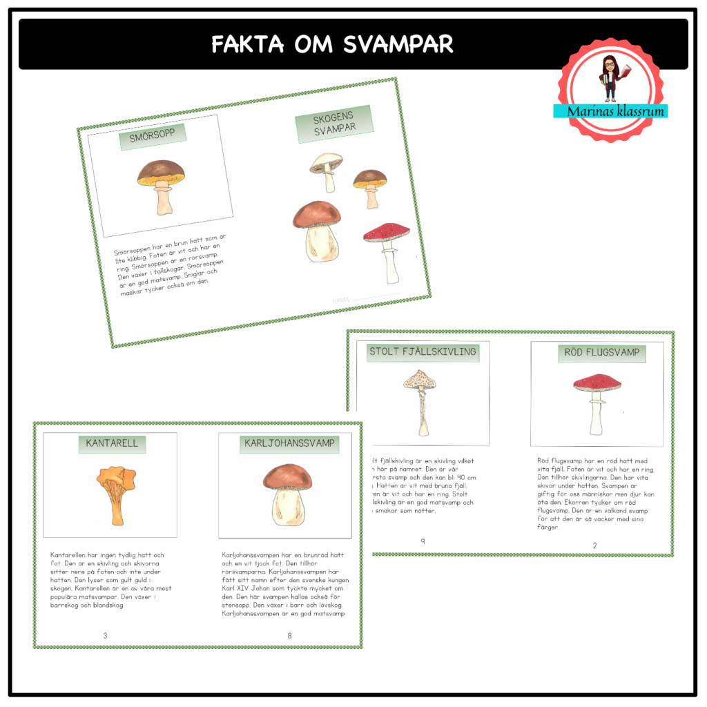 Faktatexter om svampar